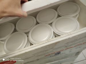 IMG_20200410_110833